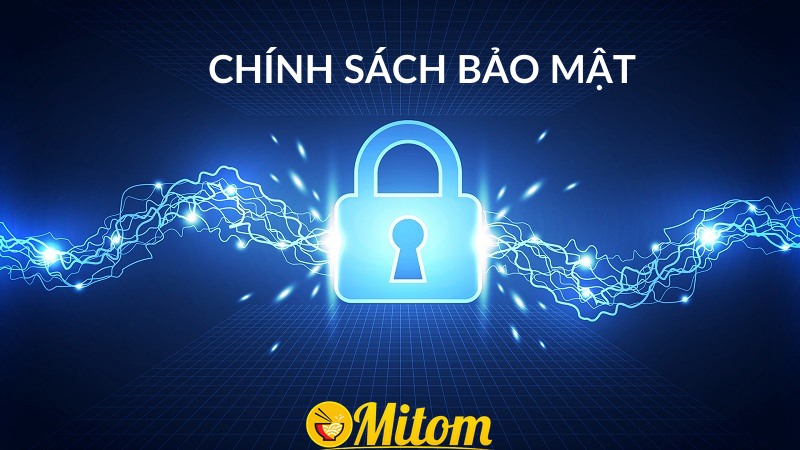 Mitom đầu tư rất nhiều vào chính sách bảo mật