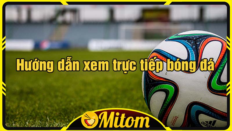 Hướng dẫn 3 bước xem trực tiếp bóng đá tại Mì Tôm TV