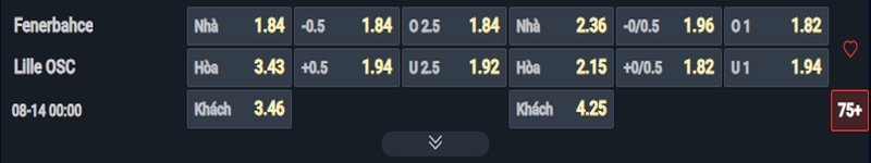 Nhận định Fenerbahce vs Lille kèo nhà cái