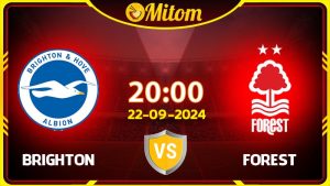 Nhận định bóng đá Brighton vs Nottingham