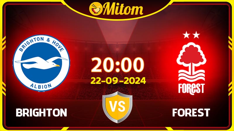 Nhận định bóng đá Brighton vs Nottingham